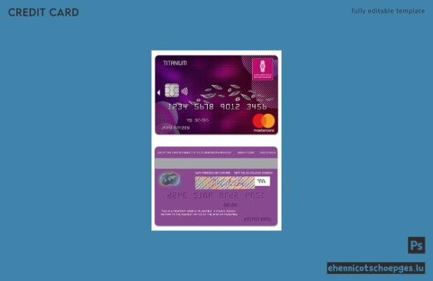 Beispielvorschau der Titanium Mastercard der Palästinensischen Staatsbank